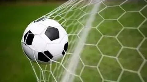 拜仁前主席弗里茨-舍雷尔离世，享年岁，致以深切哀悼